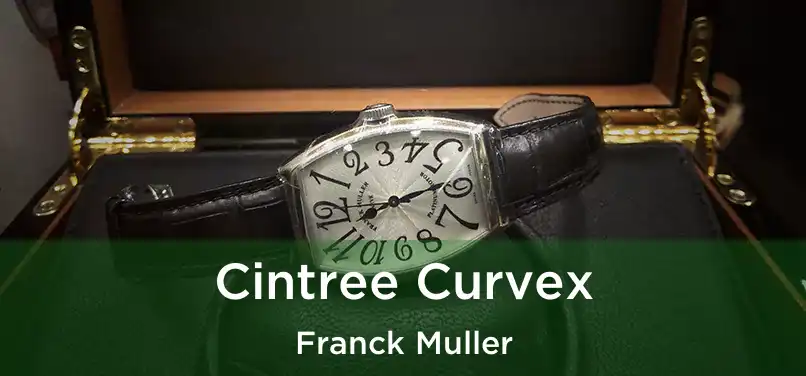  Cintree Curvex Franck Muller