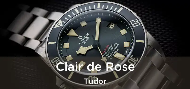  Clair de Rose Tudor