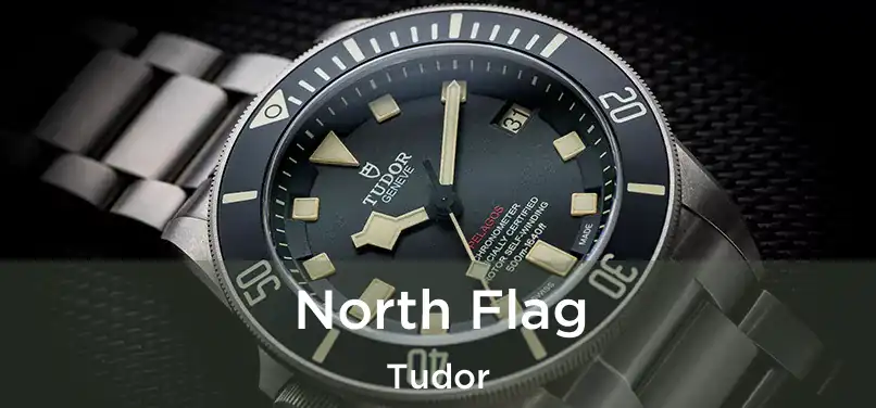  North Flag Tudor
